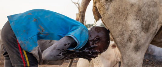 Cow urine as hair care? The Mundari people of South Sudan!!!