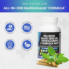 Sea Moss Capsules (Pack of 1/2）